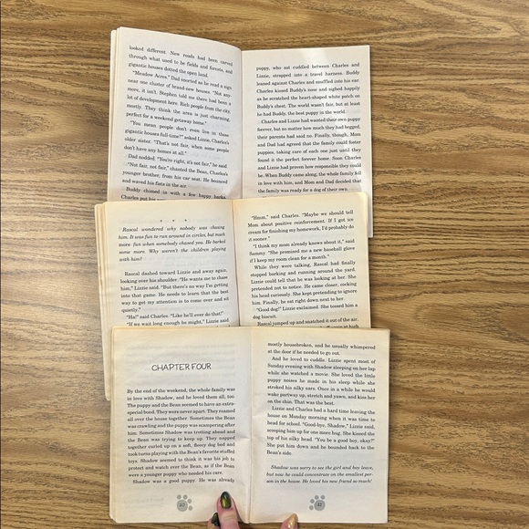 Scholastic Puppy Place Book Set of 6 Books - Picture 4 of 9